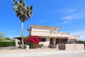 a house with a palm tree in front of it at Ca Na Cati in Muro