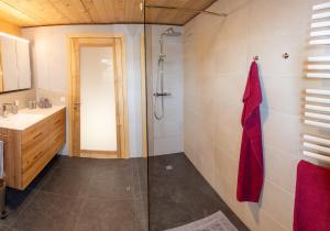 a bathroom with a shower and a sink at Ferienwohnung Naturnah in Dalaas +8 photos