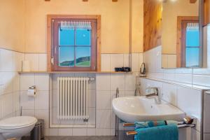 a bathroom with a sink and a toilet and windows at Geigerseppleshof in Mühlenbach +44 photos