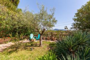 a yard with a tree and a blue bench at Logement de charme les Araucarias in La Garde