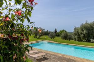a swimming pool with two lounge chairs and trees at Podere San Bartolo- Casa colonica 3 in Barberino di Val dʼElsa