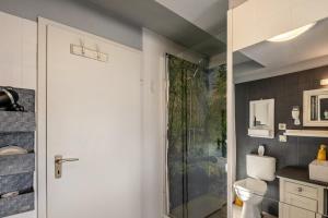 a bathroom with a shower and a toilet in it at Das Spatzennest in Bad Sachsa +17 photos
