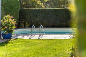 ein Swimmingpool in einem Garten mit einer Pflanze in der Unterkunft Ferienwohnung Bleichen in Stralsund