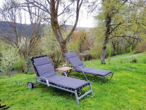 two chairs sitting in the grass in a field at Landhaus Grimburg - Ferienwohnungen im Parterre und Obergeschoss in Grimburg