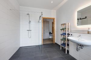 a bathroom with a sink and a shower at Reit- und Ferienhof Alte Dorfschule in Holstenniendorf +16 photos
