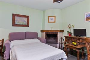 a bedroom with a bed and a tv and a fireplace at Puente del Narcea 4 in Cibuyo