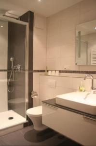 a bathroom with a toilet and a sink and a shower at Apartment für 2, nicht für Monteure in Niederau