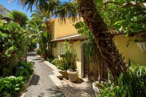 a garden alley with plants and a building at Bela Vigia in Jardim do Mar