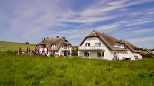 a group of houses on a hill with green grass at Taun Hövt in Groß Zicker