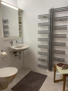 a bathroom with a sink and a toilet and a mirror at Ferienwohnung Klein und Fein in Edertal +18 photos