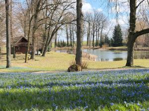a field of blue flowers with a pond and trees at Stare Lipy - Domek pod Dębami in Nakło nad Notecią
