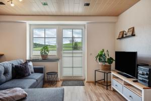 ein Wohnzimmer mit Sofa und Flachbildfernseher in der Unterkunft Rudemsmännchen in Eisenbach