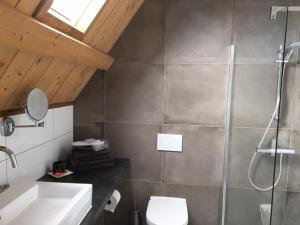 a bathroom with a shower and a toilet and a sink at Hylper Huis in Hindeloopen