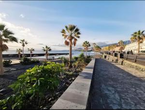 a walkway next to the beach with palm trees at Martimar Candelaria in Candelaria