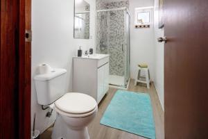 a bathroom with a white toilet and a shower at Casa Dona Isaura in Ponta Delgada +19 photos