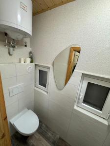 a bathroom with a toilet and a mirror at Ferienhaus Haffstille in Ueckermünde +12 photos