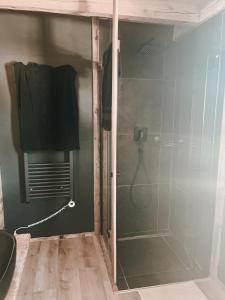 a shower with a glass door in a bathroom at Ferienwohnung Katie in Hopfgarten im Brixental +27 photos
