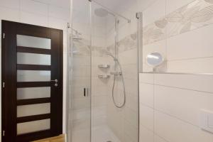 a bathroom with a shower with a glass door at Lifestyle Ferienhaus in Pouch +18 photos