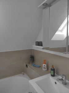 a bathroom with a sink and a mirror and a tub at Sachsen Rosie in Hartmannsdorf +14 photos