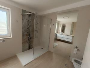 a bathroom with a glass shower with a toilet and a sink at Głębinów Apartamenty nad jeziorem nyskim in Głębinów +46 photos