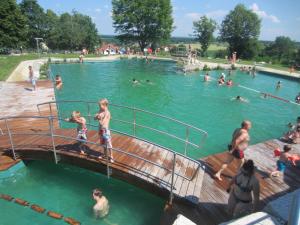 a group of people swimming in a swimming pool at Kleine Auszeit in Thalheim