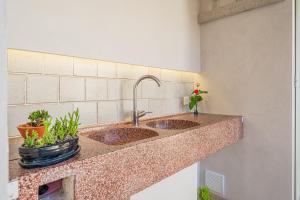 a kitchen counter with two sinks with potted plants at Es Pop Nou in Sa Ràpita +20 photos