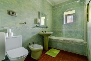 a bathroom with a toilet and a sink and a tub at Casa da Quinta da Castanheira in Cepões +21 photos