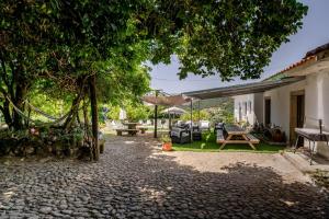 a patio of a house with a tree at Casa da Quinta da Castanheira in Cepões