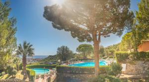 a resort with two pools and a tree at Villaggio Colombo V3 comfort in Marina di Andora