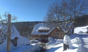 a house with snow on the roof of it at Sigmundenhof Schonach in Ölberg