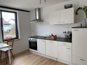 eine Küche mit weißen Schränken, einer Spüle und einem Fenster in der Unterkunft Albnest in Mössingen