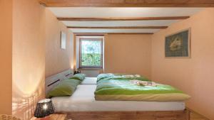 a bedroom with a bed with green sheets and a window at Bachbubenhof in Hüfingen