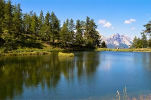 a lake with trees and mountains in the background at Studio Clotes Ski In - Ski Out - Happy Rentals in Sauze dʼOulx