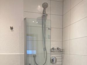 a shower with a glass door in a bathroom at Casa Rural in Nerenstetten +30 photos