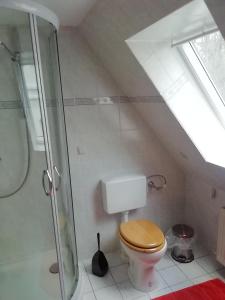 a bathroom with a toilet and a glass shower at Ferienwohnung Loewe in Plau am See