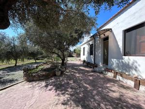 a house with a tree next to a building at casa Sa Breca in Tertenìa