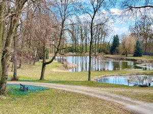 a path in a park with a pond and trees at Stare Lipy - Domek pod Dębami in Nakło nad Notecią +8 photos