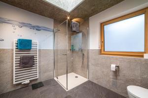 a bathroom with a shower and a toilet and a window at Chalet Riad 2 in Saltusio +11 photos