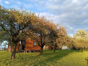 a house in the middle of a field with trees at Mobile Tinyhouse 2 by Wolfsberger in Mayrhof +7 photos