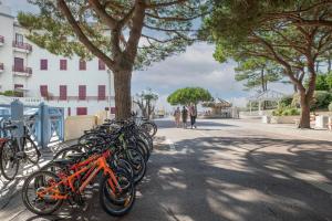 a row of bikes parked next to a tree at Appartement Le Moulleau in Arcachon