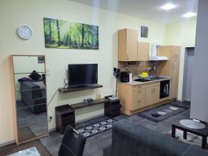 a living room with a couch and a tv in a room at Wohnung in Elz in Elz