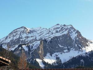 a snow covered mountain with a train in front of it at Les Silenes in Bellevaux