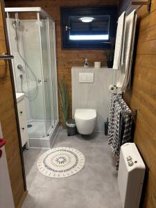 a bathroom with a shower and a toilet and a sink at Ferienwohnung Herzogenhorn in Bernau im Schwarzwald