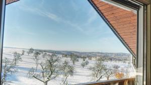 a window view of a snowy field from a house at Studio Dinkelberg in Adelhausen
