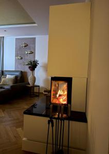 a living room with a fireplace in a living room at Luxuriöse Fewo Schaffner in Warendorf