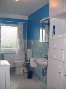 a bathroom with a toilet and a sink at Ferienhaus Ockholm in Ockholm +14 photos