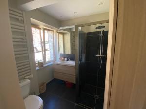 a bathroom with a shower and a toilet and a sink at Villa Kergariou in Clohars-Carnoët +13 photos