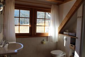 a bathroom with a toilet and a sink and a window at Urbanshof Herr Tobias Fehrenbach in Hinterzarten +87 photos