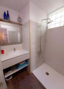 a bathroom with a sink and a shower with a mirror at Villa Esterel, Pour 14 Pers in La Faute-sur-Mer +10 photos