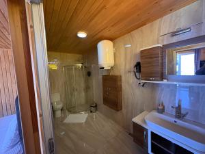 a bathroom with a sink and a shower and a toilet at pınar kır evi in Artvin +102 photos